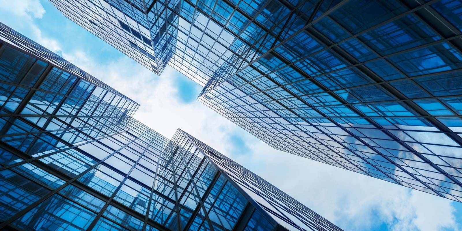 Restoration Services for Every Need